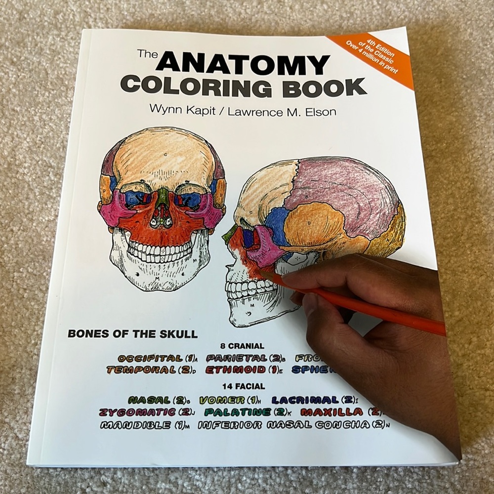 Anatomy coloring book